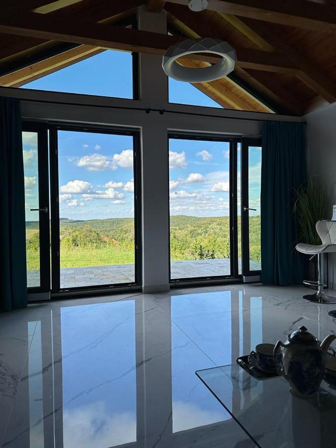 Casa Moderna In Sinteu - Intersectia Intre Modern Si Linistea Naturii Huta Voivozi Extérieur photo