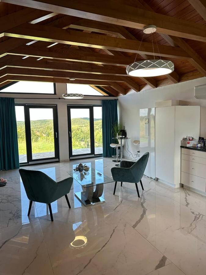 Casa Moderna In Sinteu - Intersectia Intre Modern Si Linistea Naturii Huta Voivozi Extérieur photo