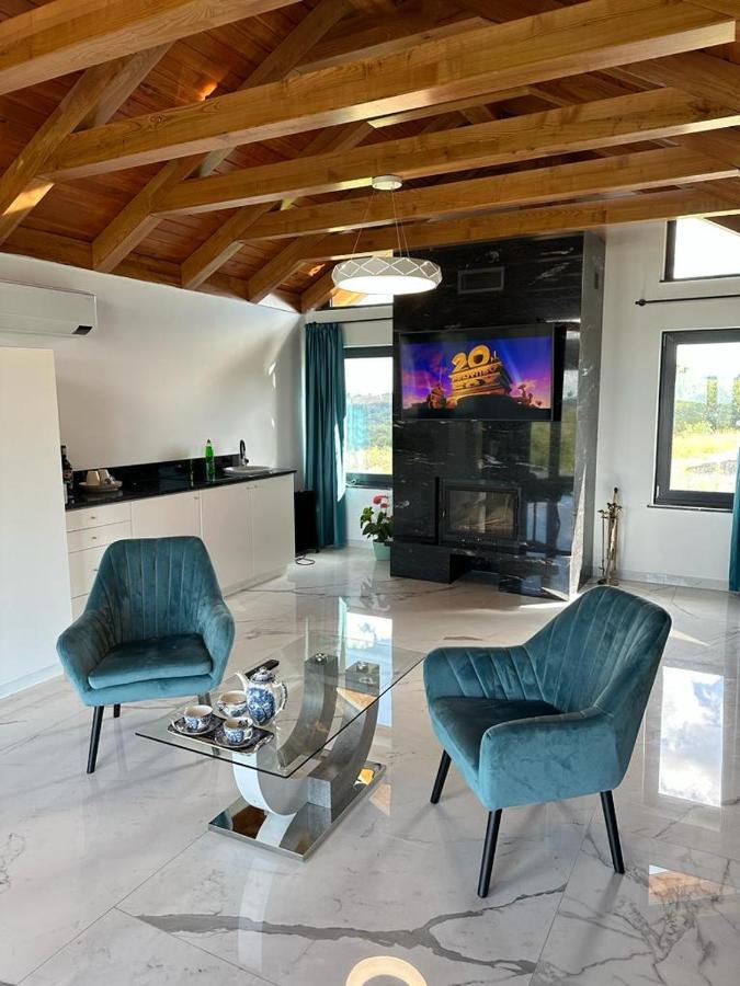 Casa Moderna In Sinteu - Intersectia Intre Modern Si Linistea Naturii Huta Voivozi Extérieur photo