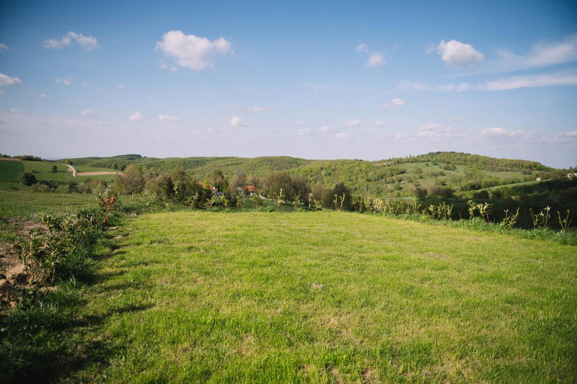 Casa Moderna In Sinteu - Intersectia Intre Modern Si Linistea Naturii Huta Voivozi Extérieur photo