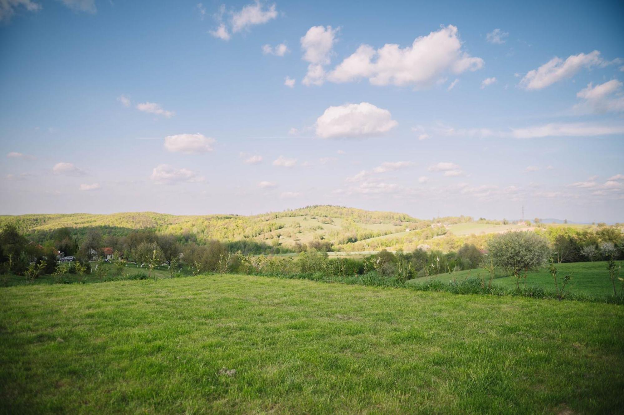 Casa Moderna In Sinteu - Intersectia Intre Modern Si Linistea Naturii Huta Voivozi Extérieur photo